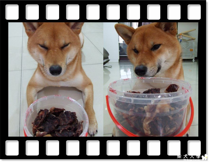 幸福VVF健康零嘴～(原發表者:Fighter爸)(相簿)