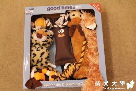 柴柴的新玩具(原發表者:洪麻糬)(相簿)