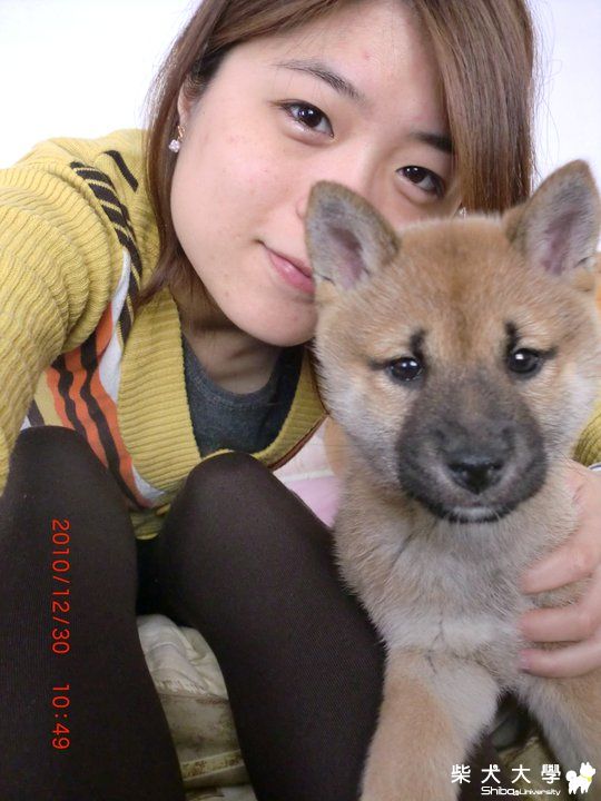 Yummy快四個月了，照片分享。(原發表者:ElizaWang)(相簿)