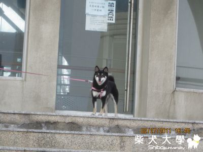 南寮漁港遊玩與苗栗賞燈會(原發表者:娃娃的阿爸)(相簿)