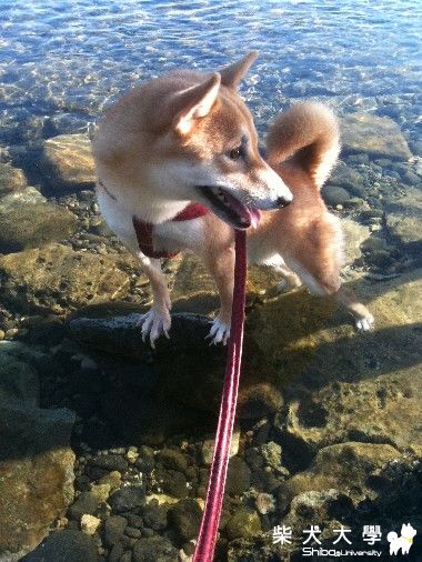 DO醬綠島遊(原發表者:60103st)(相簿)