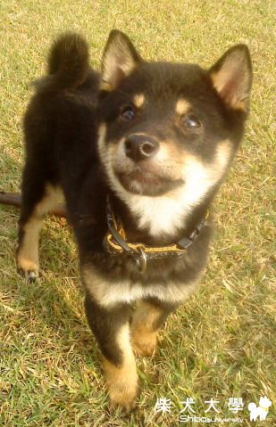 沒事溜溜...(原發表者:阿助)(相簿)