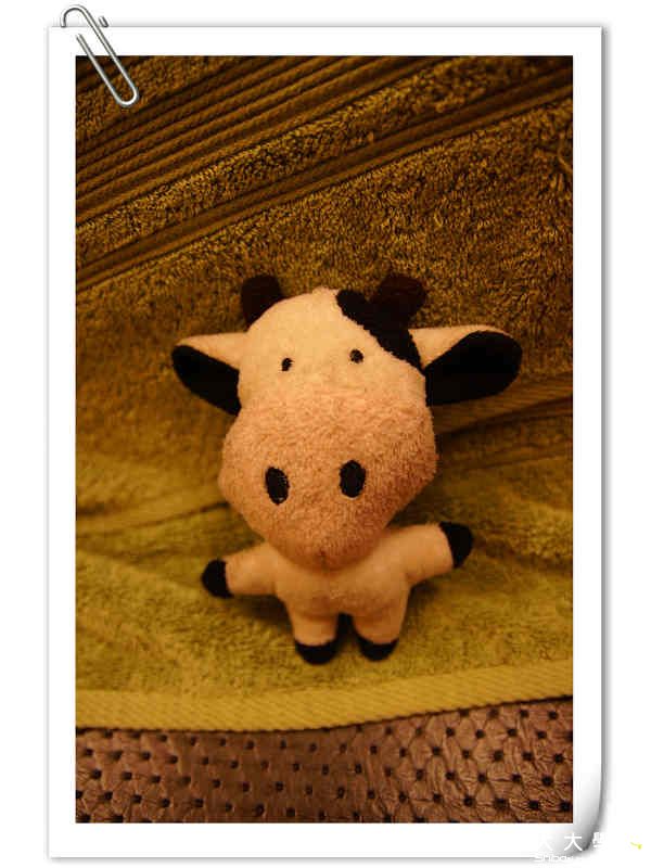 喜新厭舊的ㄤ ㄉㄝˊ(原發表者:紅茶麻)(相簿)