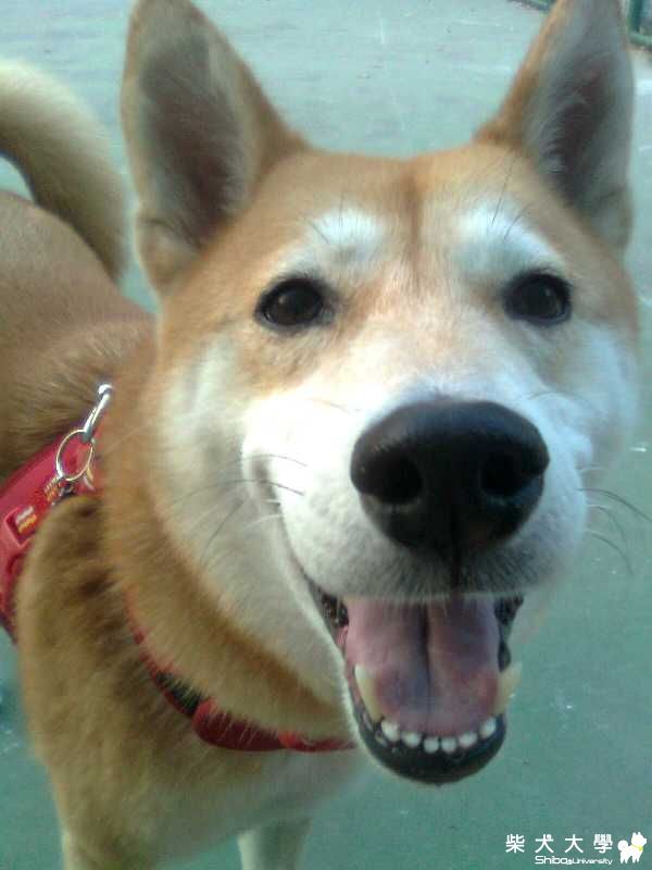 小姐弟包場(原發表者:阿秋爸)(相簿)