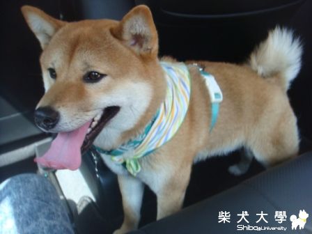 ＴＯＲＡ單車日記(原發表者:蔡佳玲)(相簿)