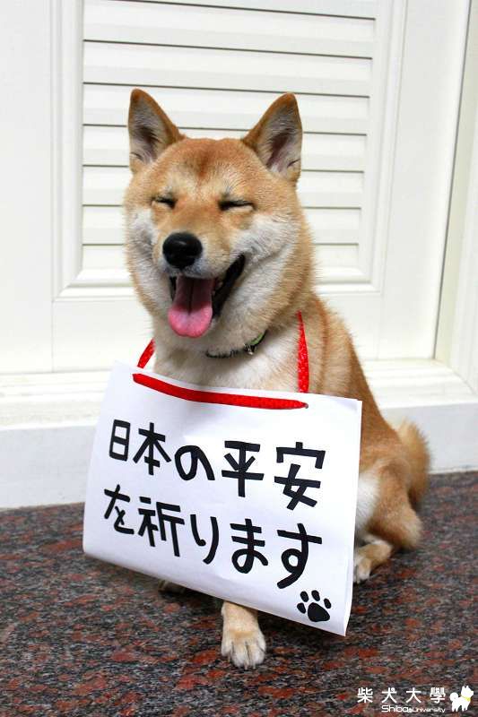 蕾蕾為日本災民祈福(原發表者:吧噗爸)(相簿)