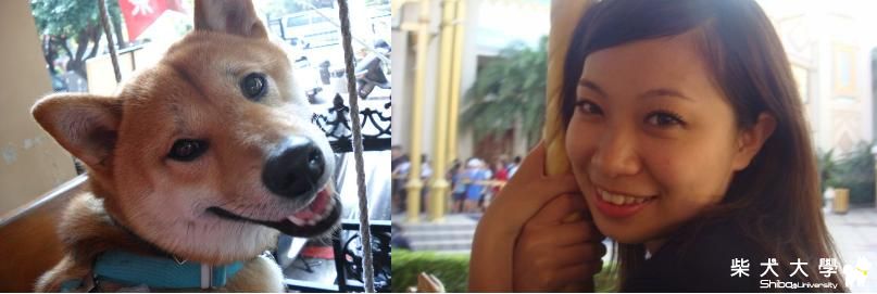 狗狗像主人(原發表者:蔡佳玲)(相簿)