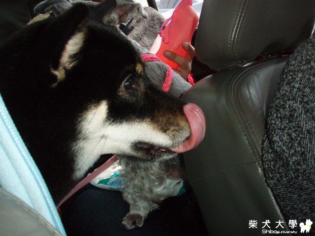 百年黑糖拜拜之旅三天二夜~第三天~(原發表者:黑糖姐)(相簿)