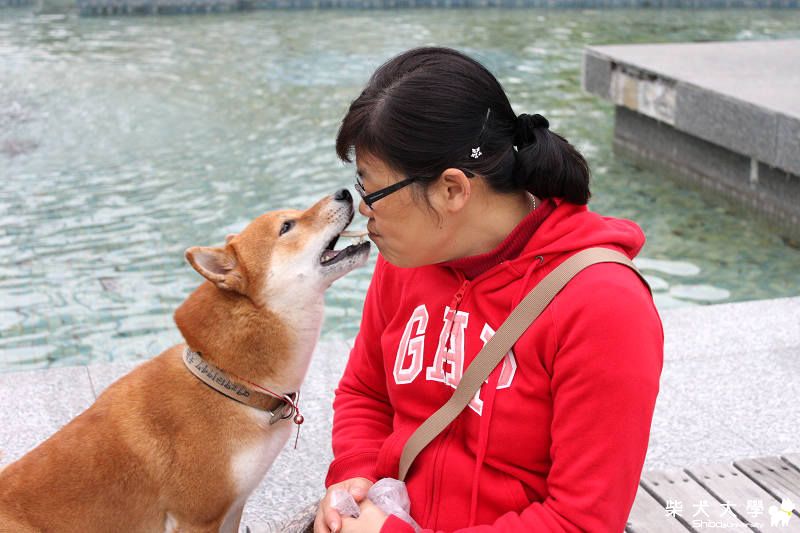 2011.3.16.環島天才夢騎士過境高雄(原發表者:糖糖拔)(相簿)