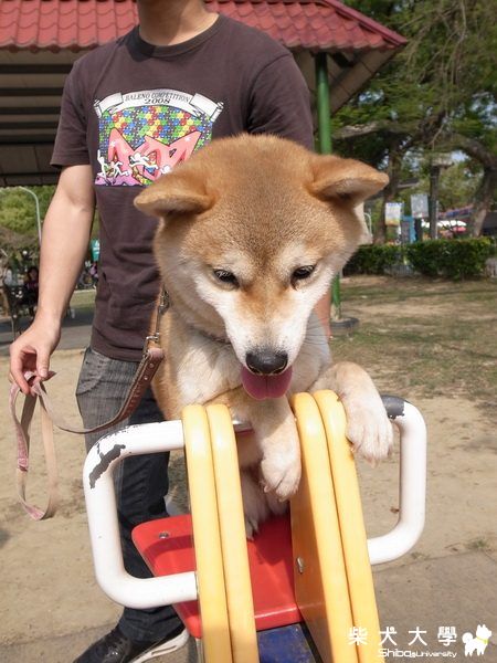 我愛太陽之RICHO GRD3(原發表者:小米ˇ)(相簿)