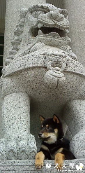 今天我們到台中明德女中郊遊去!(原發表者:阿助)(相簿)