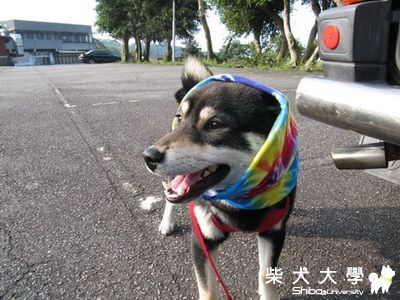 照片篇~小寶去二子坪&向天池(原發表者:阿寶)(相簿)