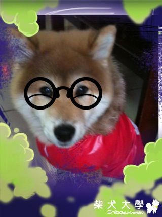 GUTS的惡搞相片(原發表者:小柴拔)(相簿)