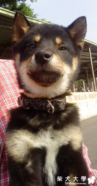 我的小小記錄(原發表者:阿助)(相簿)