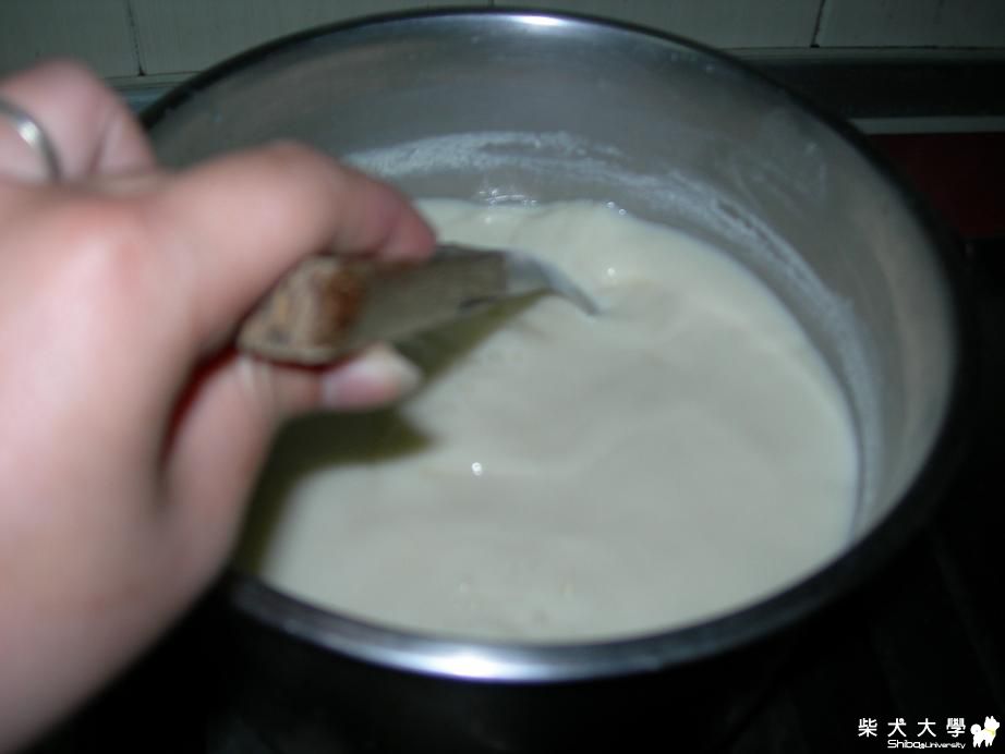 起司(原發表者:麻糬媽)(相簿)