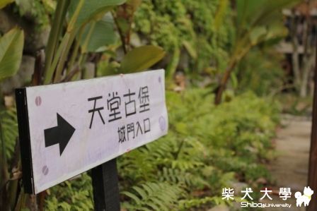 暢遊天空之城(原發表者:洪麻糬)(相簿)