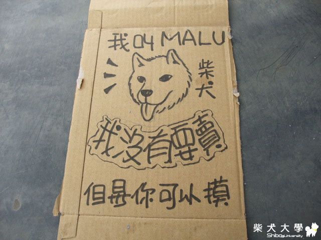 MaLu拔太閒之作(原發表者:MaLu的媽咪)(相簿)