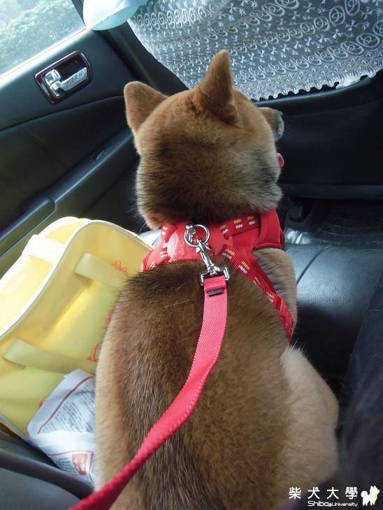 【桃園】 Meki介紹：大灣坪庭園餐廳!(原發表者:MEKI麻)(相簿)