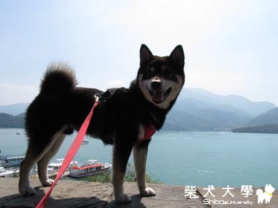 日月潭+三育基督學院(原發表者:阿寶)(相簿)