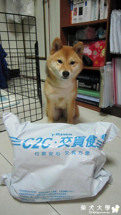 胸背帶開箱文~~from吉谷麻的巧手巧思(原發表者:Hana媽)(綜合討論)