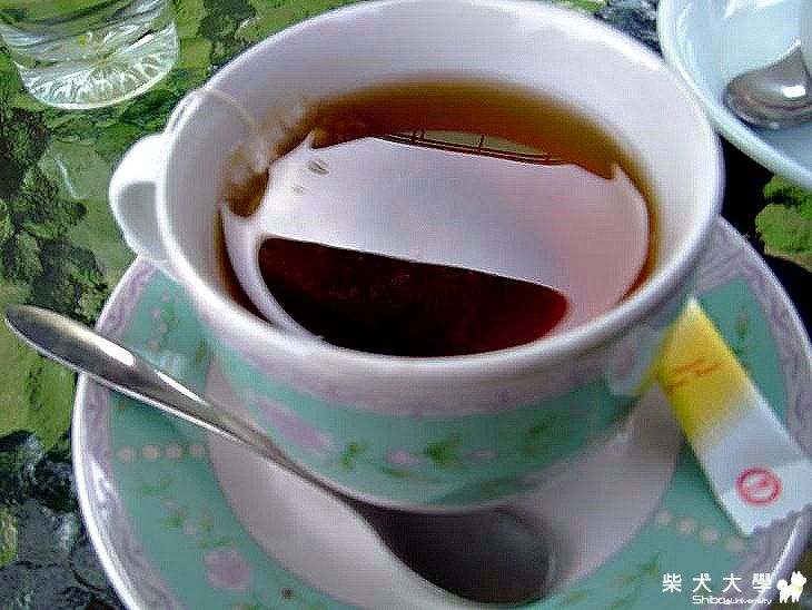 Meki 旅遊介紹：大溪 阿姆坪公園~(原發表者:MEKI麻)(相簿)