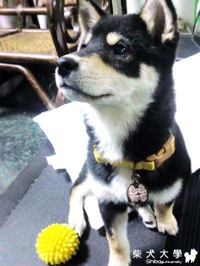 4 months(原發表者:八寶麻)(相簿)