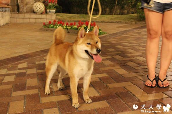 六筒近況 近況 近況!!!!(原發表者:六筒拔)(相簿)