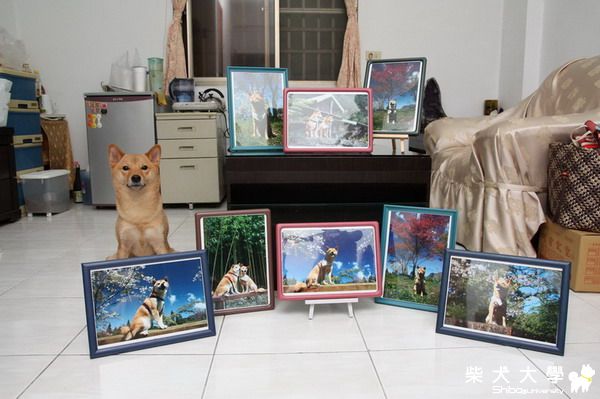 財妹之攝影成果展(原發表者:財妹拔拔)(相簿)