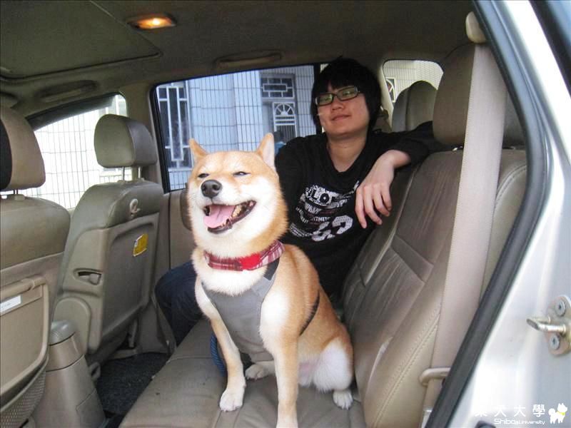 感冒夏令營之-不能說的咪咪(原發表者:sahra1215)(相簿)