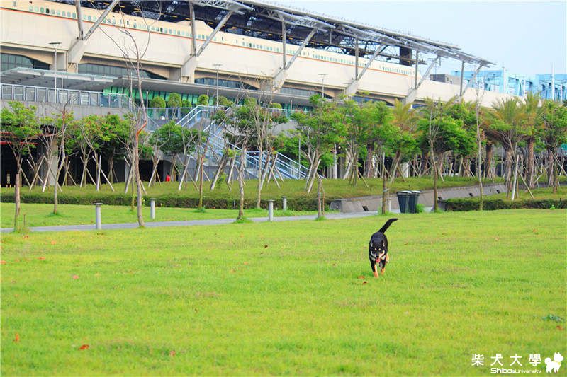 耳朵不見了!!!(原發表者:Boss醬)(相簿)