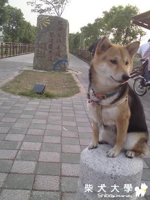 BOBO專屬卡打車兜風去(原發表者:bolen912)(相簿)