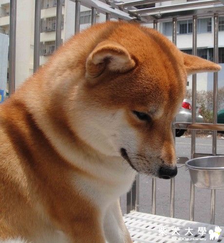 "獄卒"到極點(原發表者:小恩)(相簿)