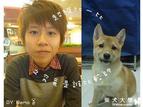 超級比一比之究竟是誰比較帥 Nemo父女檔(原發表者:Nemo爸)(相簿)