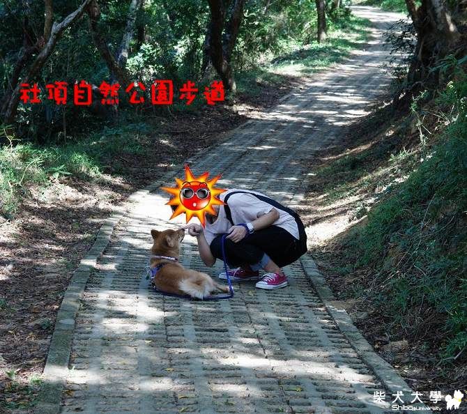 賴皮卡~(原發表者:小卡麻)(相簿)