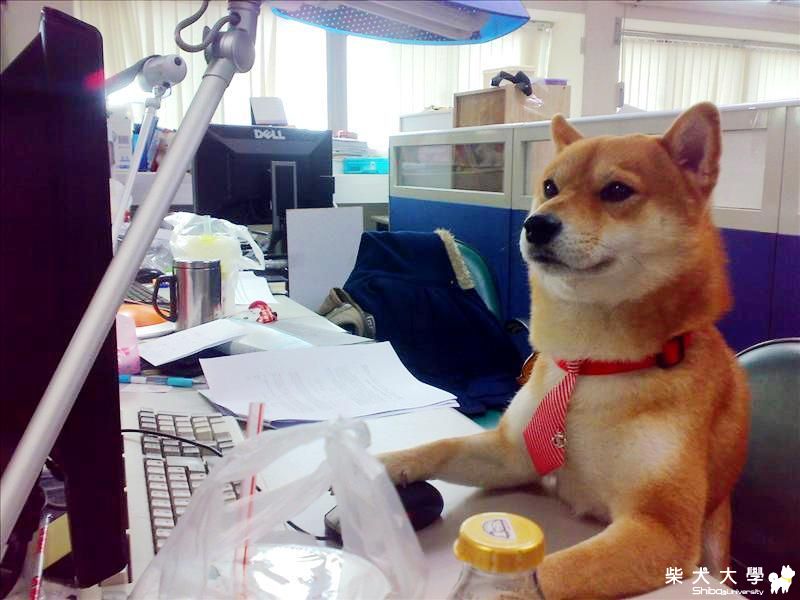 感冒夏令營之-感董很忙!(原發表者:sahra1215)(相簿)