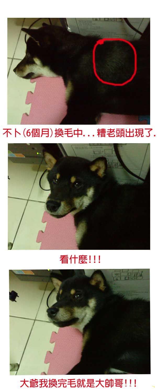 糟老頭....啊啊啊啊~(原發表者:阿助)(相簿)