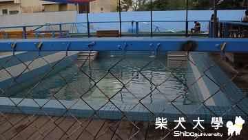 麻糬 鹿和(原發表者:麻糬媽)(相簿)