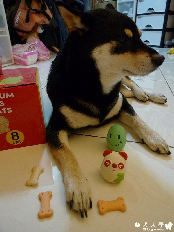 好久不見之摩卡海匠近況:)(原發表者:摩卡媽咪)(相簿)