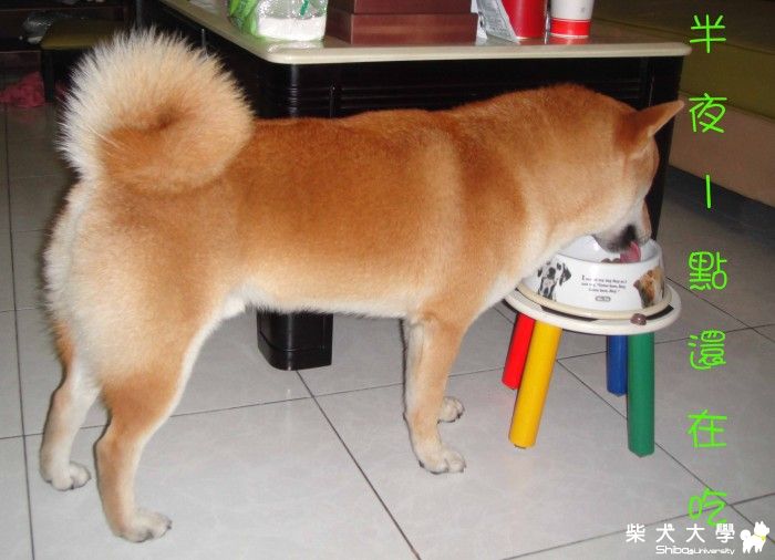 半夜一點還在吃飯(原發表者:小恩)(綜合討論)