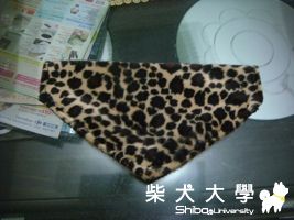 新的豹紋領巾呢(原發表者:kkfire)(綜合討論)