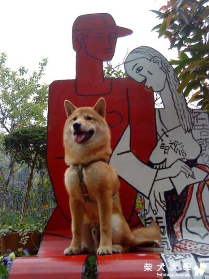 帶豆皮去游泳要注意什麼嗎?(原發表者:豆皮媽)(綜合討論)