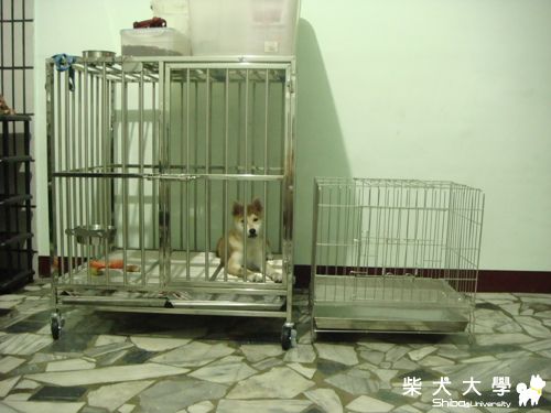 套房變透天(原發表者:kkfire)(綜合討論)