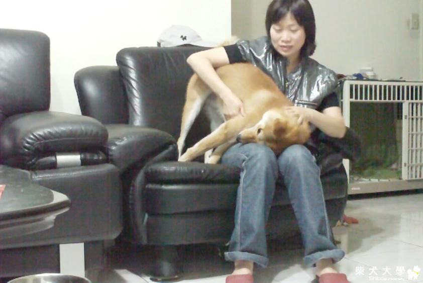 我的母親節(原發表者:吉谷家)(相簿)