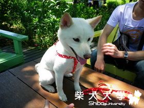 Candy的新竹薰衣草之旅(原發表者:a26888250123)(相簿)