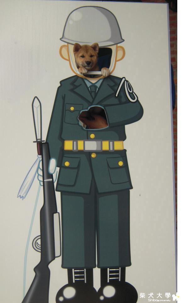 是否該換牙啦?(原發表者:棕柴)(環境管理)