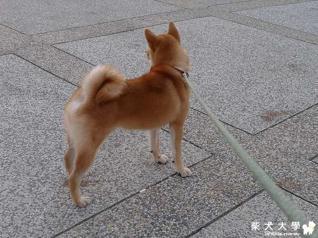 "海匠" 河堤公園外拍(原發表者:liveup11)(相簿)