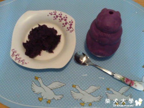 寵物消暑計劃DIY(原發表者:吉谷家)(相簿)