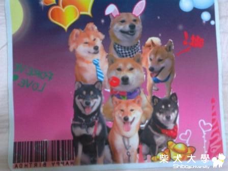 滑鼠墊跟果汁麻的是一樣的(原發表者:元氣媽咪)(綜合討論)