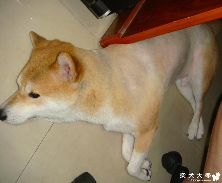 肉包弟弟光溜溜~涼啦~(原發表者:肉包姐姐)(相簿)