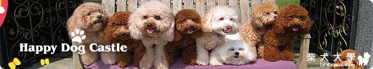 【宜蘭】寵物民宿 樂狗堡(原發表者:KURI麻)(綜合討論)